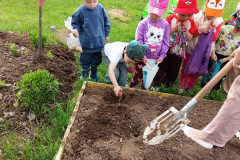 IMG_20260522_112531