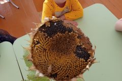1_1766205438500-scaled-e1766226656452